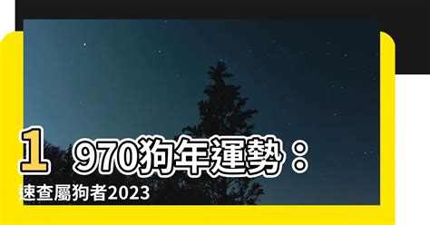 1970屬狗十年運勢|【1970屬狗十年運勢】1970屬狗十年運勢：未來十年你的運勢會。